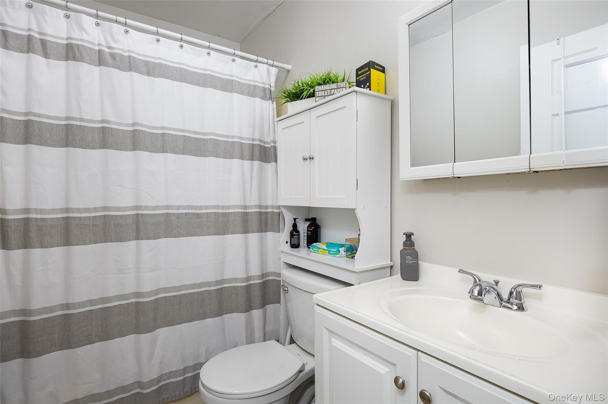178 Overlook Road Poughkeepsie, NY 12603 - Photo 19 of 30 a bathroom with a sink a toilet and shower
