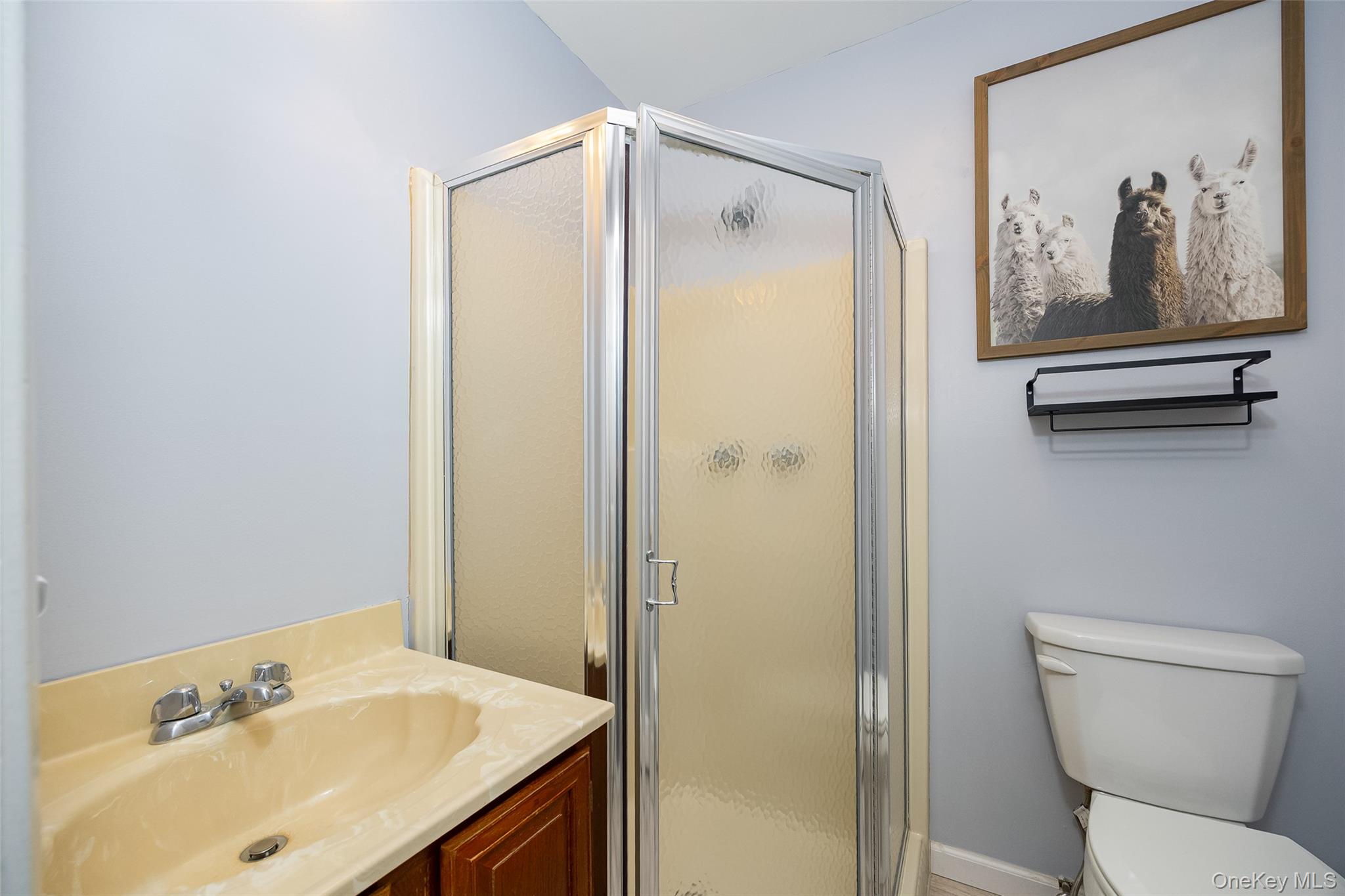 178 Overlook Road Poughkeepsie, NY 12603 - Photo 22 of 30 a bathroom with a sink mirror and toilet
