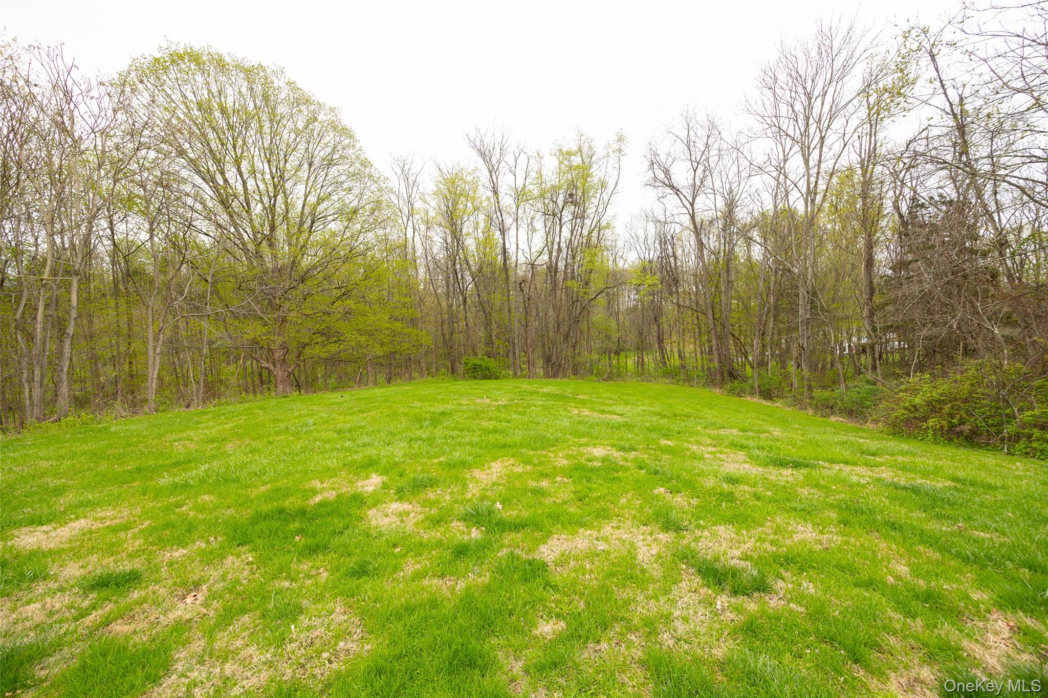 178 Overlook Road Poughkeepsie, NY 12603 - Photo 8 of 30 a view of a yard with trees in the background