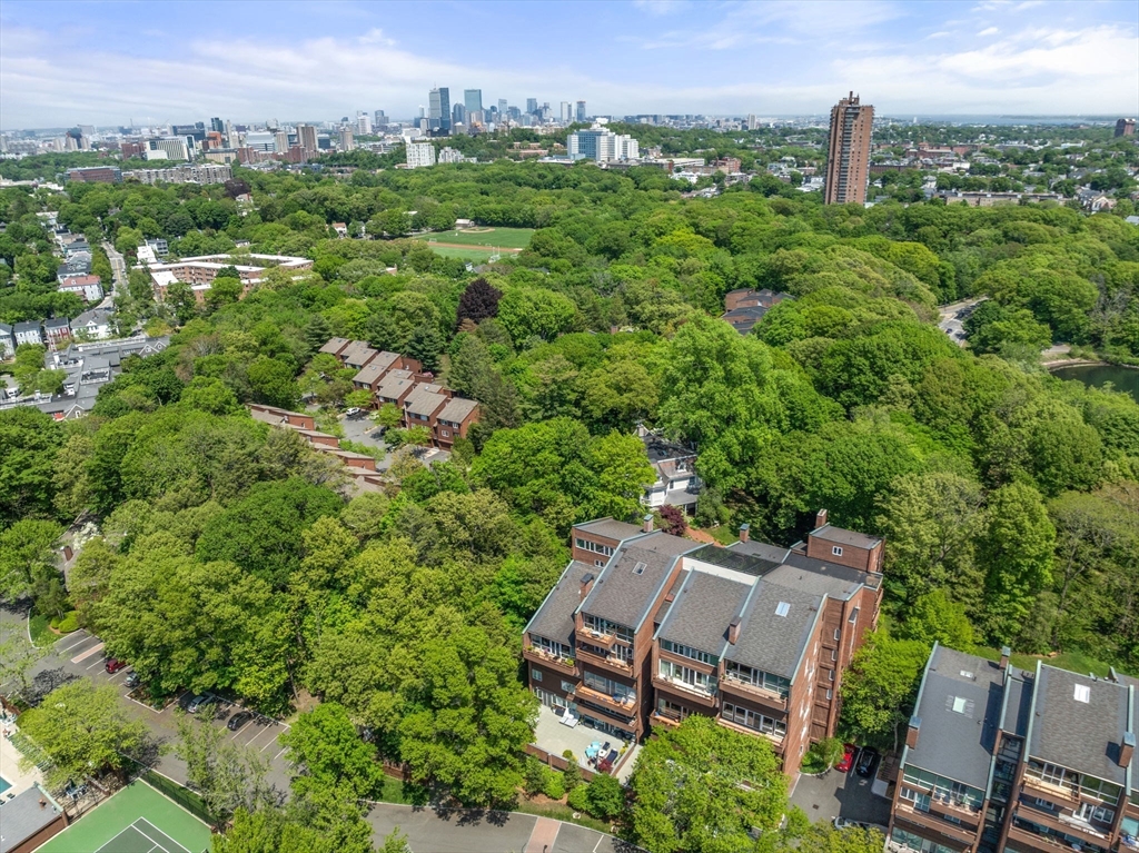 241 Perkins Street, Unit C402 Boston, MA 02130 - Photo 33 of 33 an aerial view of a house with a yard and lake view