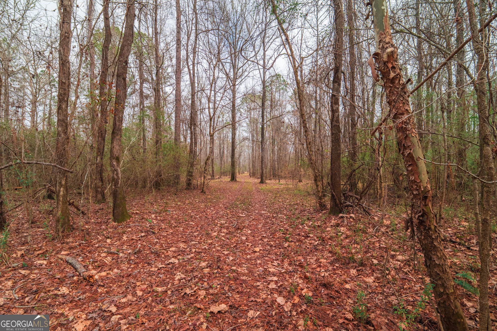 0 Turkey Run Road, Unit LOT 4 Juliette, GA 31046 - Photo 12 of 13 a view of outdoor space and trees