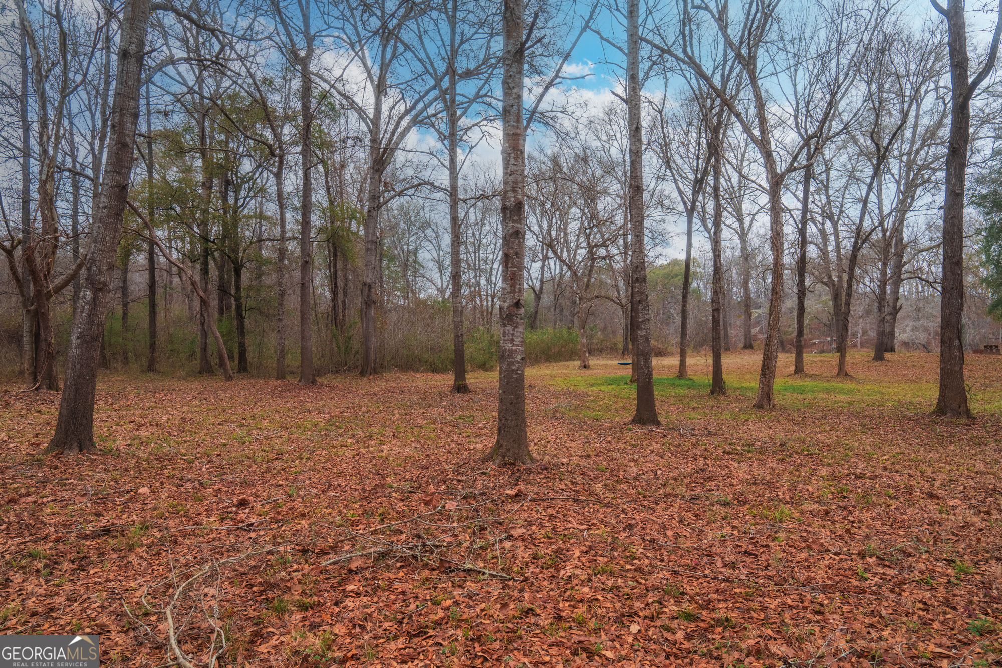 0 Turkey Run Road, Unit LOT 4 Juliette, GA 31046 - Photo 10 of 13 a backyard of a house with lots of green space