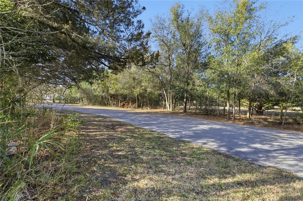 10689 Southeast 174th Loop Summerfield, FL 34491 - Photo 13 of 45 a view of yard with tree