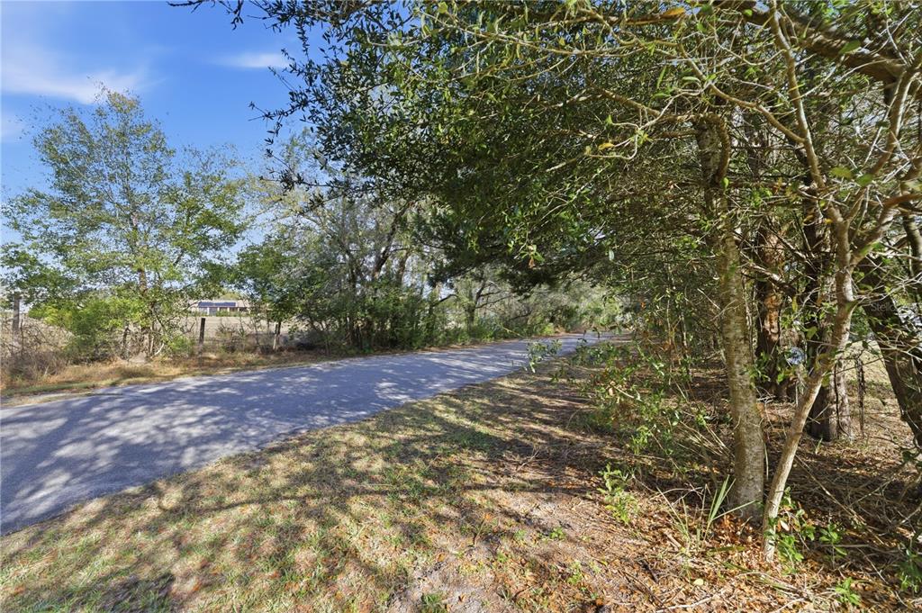 10689 Southeast 174th Loop Summerfield, FL 34491 - Photo 14 of 45 a view of a yard with an trees