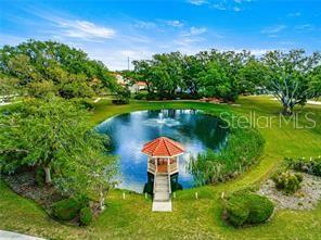 10689 Southeast 174th Loop Summerfield, FL 34491 - Photo 37 of 45 a lake view with a garden