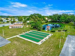 10689 Southeast 174th Loop Summerfield, FL 34491 - Photo 43 of 45 a view of a lake with a big yard
