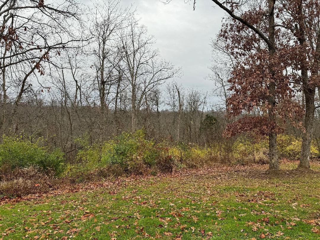 345 Delaney Road Brooksville, KY 41004 - Photo 22 of 41 Gallery Image 22