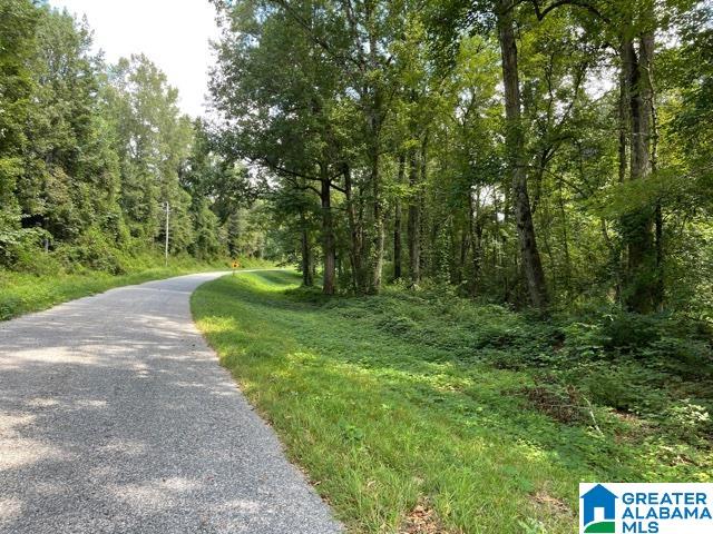 95 County Road, Unit 26 78 Wedowee, AL 36278 - Photo 7 of 10