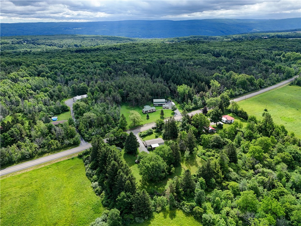 5420 Middle Road North Canadice, NY 14466 - Photo 9 of 47