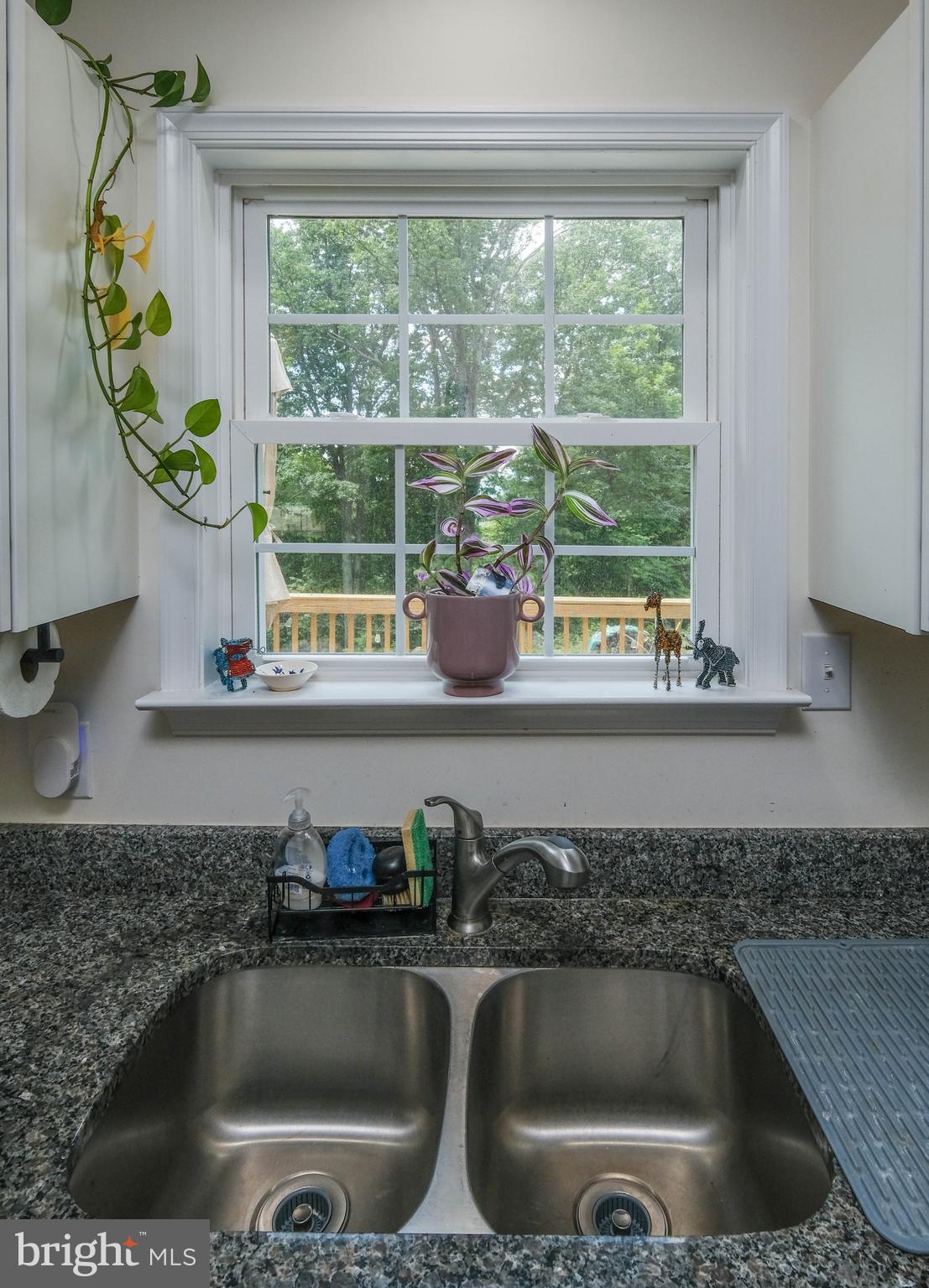 1099 High Top Road Linden, VA 22642 - Photo 17 of 83 Great view from kitchen sink