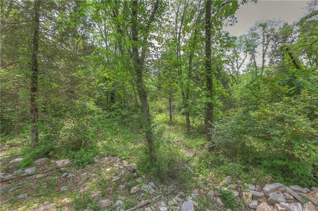 5088 Mt View Road Antioch, TN 37013 - Photo 12 of 13 The property extends well into the woods behind, all the way to the fencing at the rear of the lot.