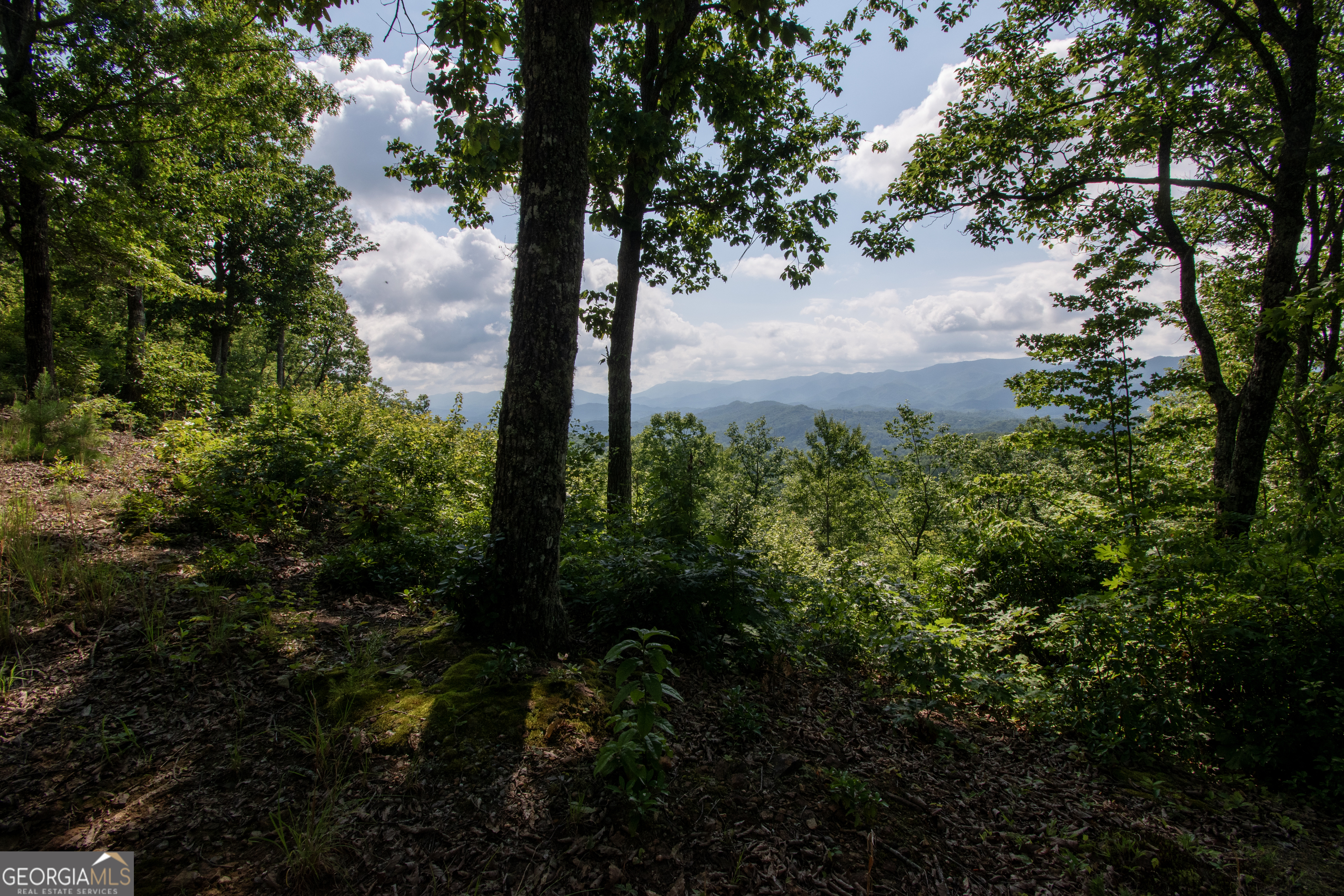 850 Bluff Road Marble, NC 28905 - Photo 1 of 31 Gallery Image 1