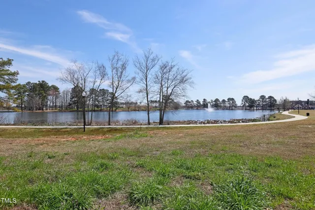 a view of a yard with a lake view