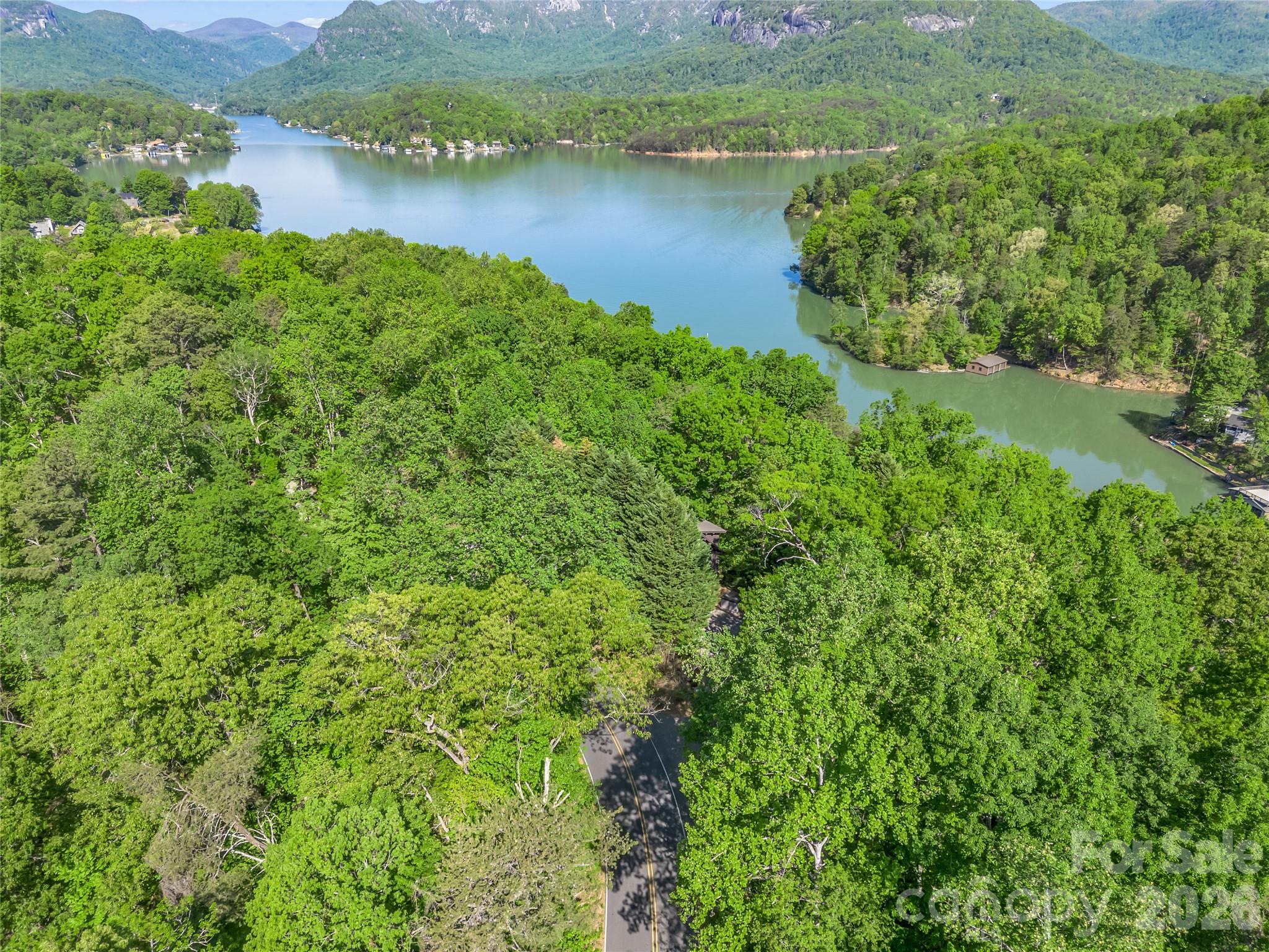 105 Sunset Cove Road Lake Lure, NC 28746 - Photo 39 of 44