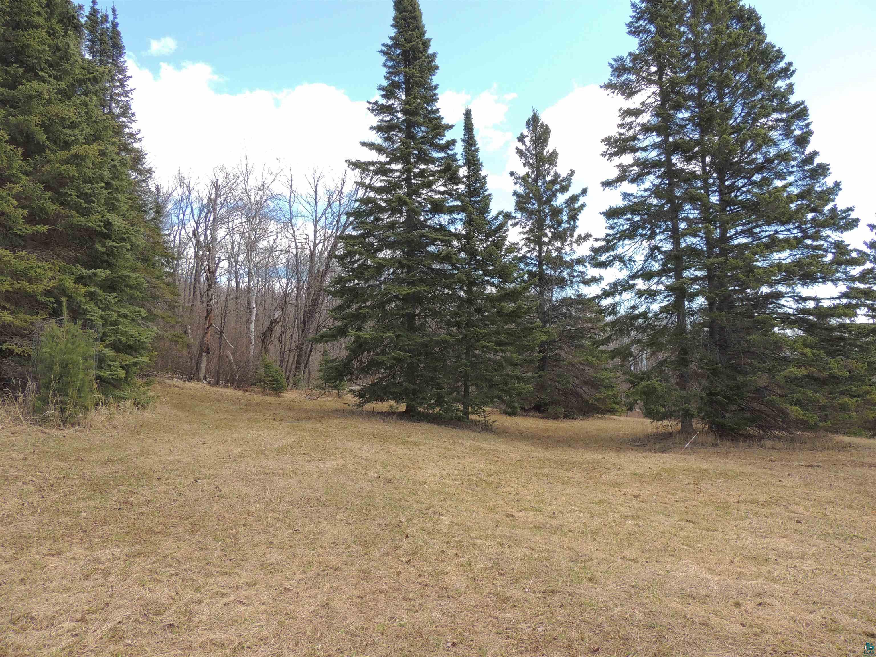 Xxx Springdale Road Tofte, MN 55615 - Photo 4 of 36