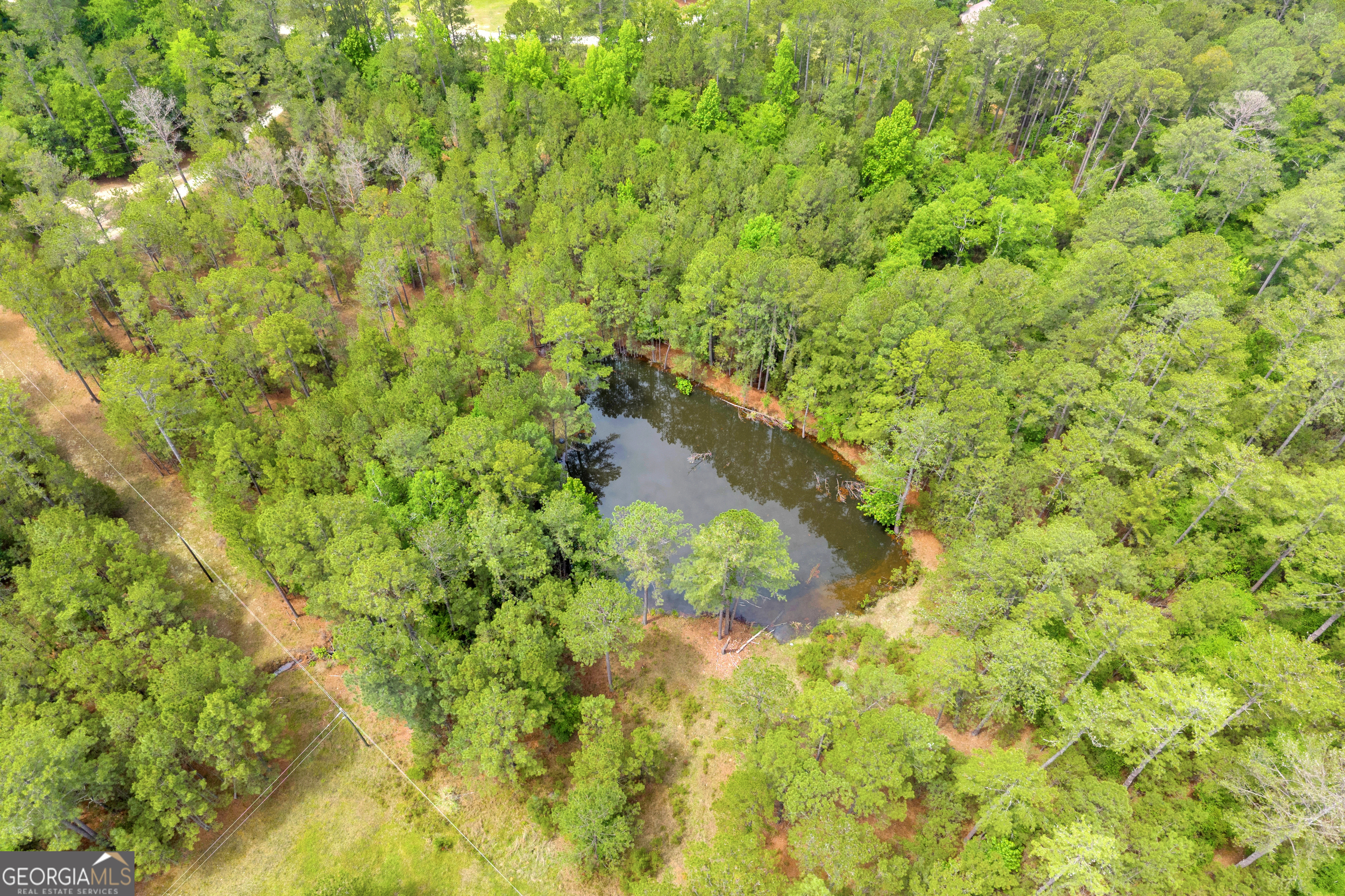 0 Clary Road Lincolnton, GA 30817 - Photo 12 of 16