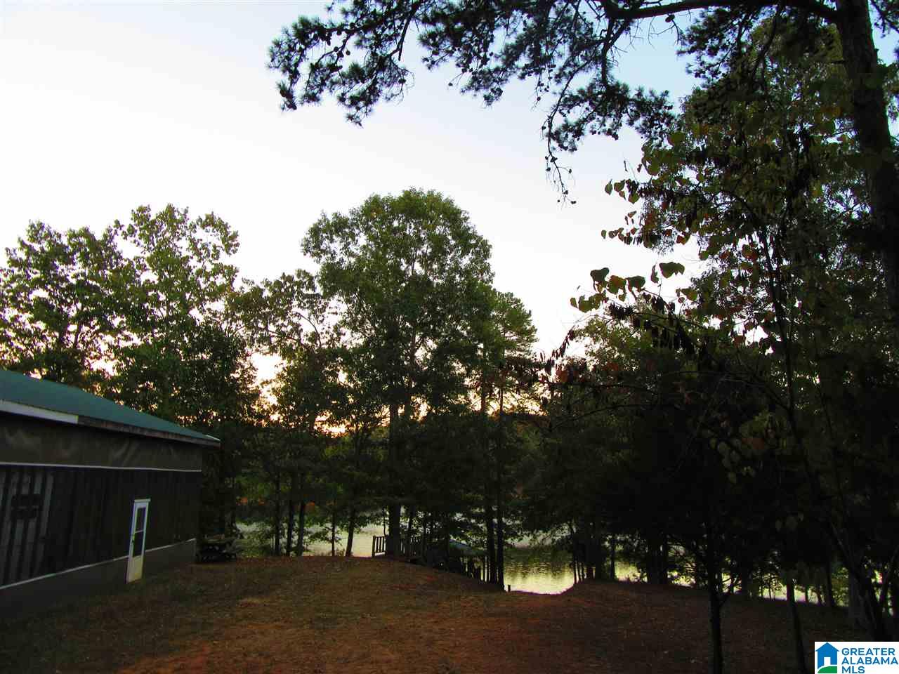 281 Wedowee Al, Unit 66 ACRES Lineville, AL 36266 - Photo 10 of 10