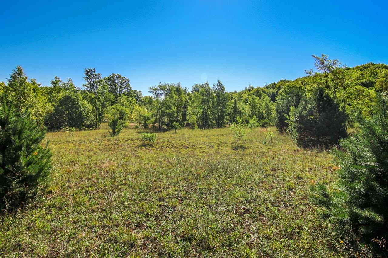 A4 Wallaker Road Benzonia, MI 49616 - Photo 9 of 17