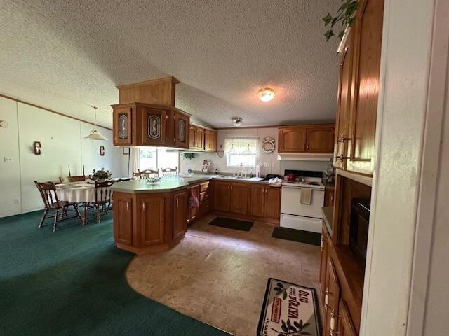 10830 Voris Road Logan, OH 43138 - Photo 25 of 26 IMG_8075