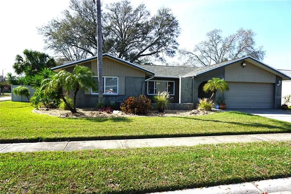 a front view of house with yard and green space