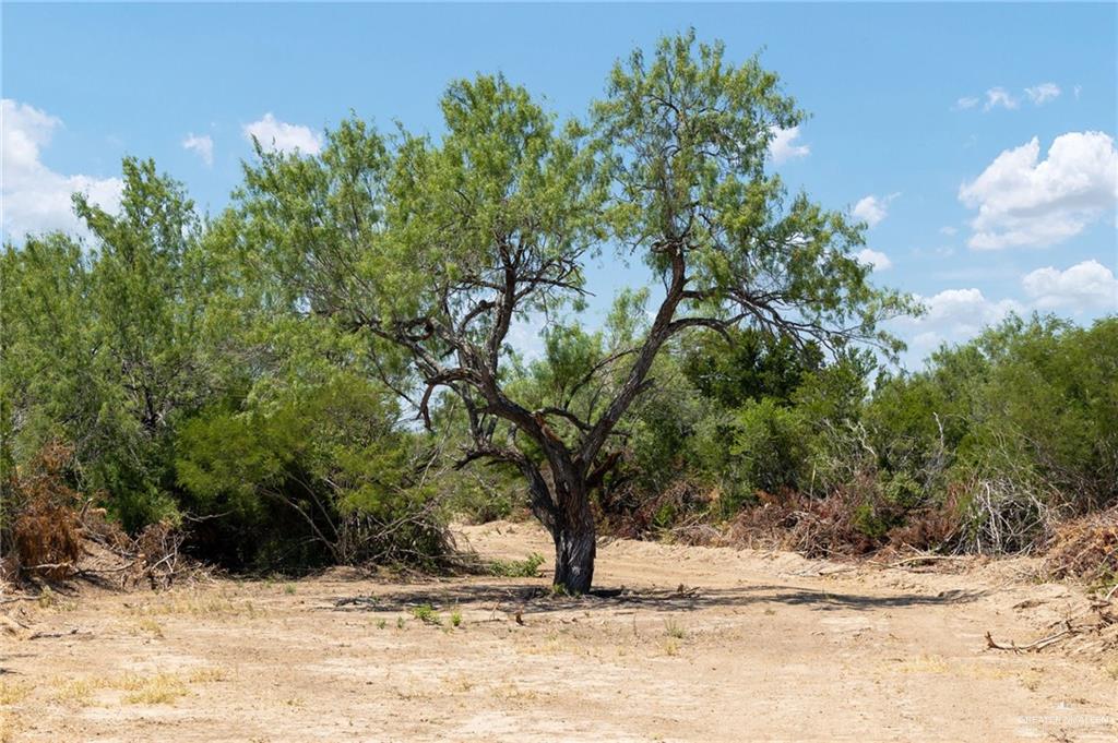 0 Los Lobos Road Roma, TX 78584 - Photo 12 of 28 a view of a yard covered with snow in the background