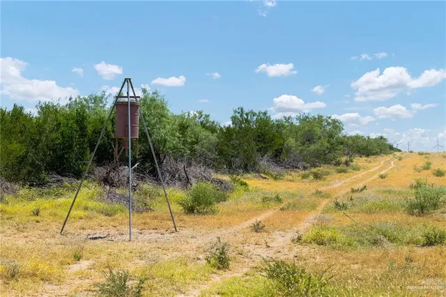 a view of a garden with a slide