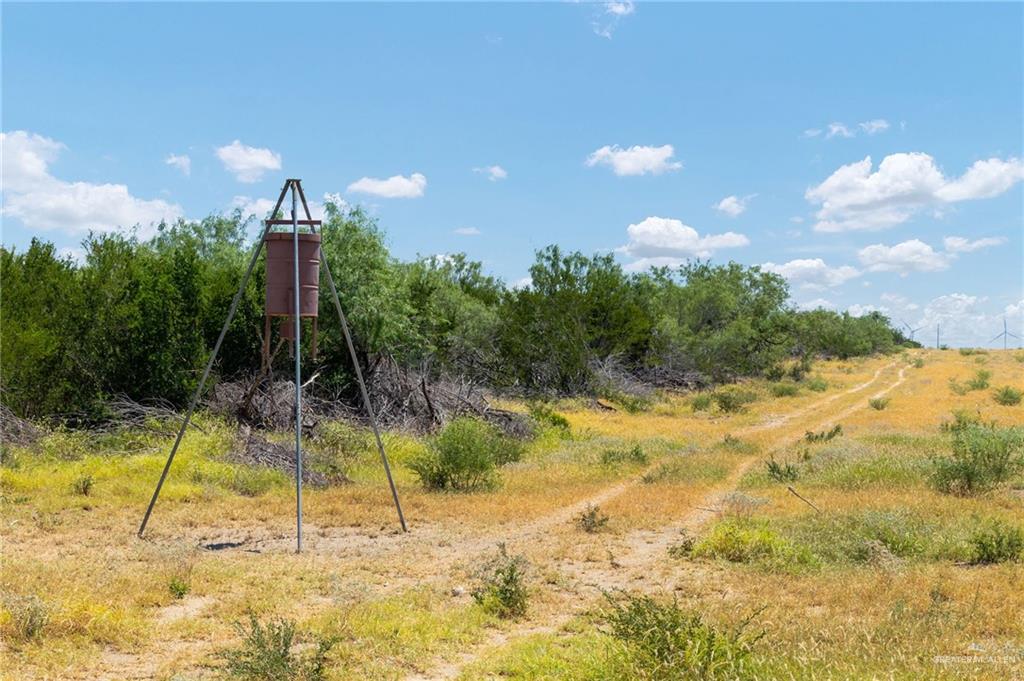 0 Los Lobos Road Roma, TX 78584 - Photo 14 of 28 a view of a garden with a slide