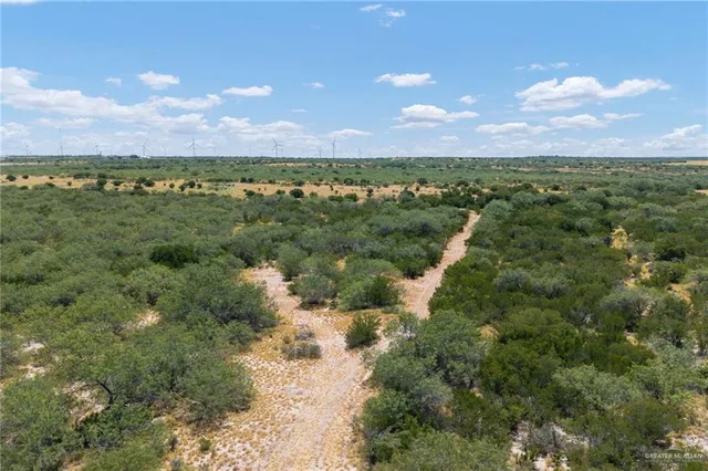 a view of a lake from a yard