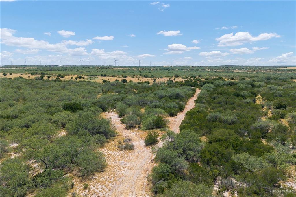 0 Los Lobos Road Roma, TX 78584 - Photo 21 of 28 a view of a city with lots of trees