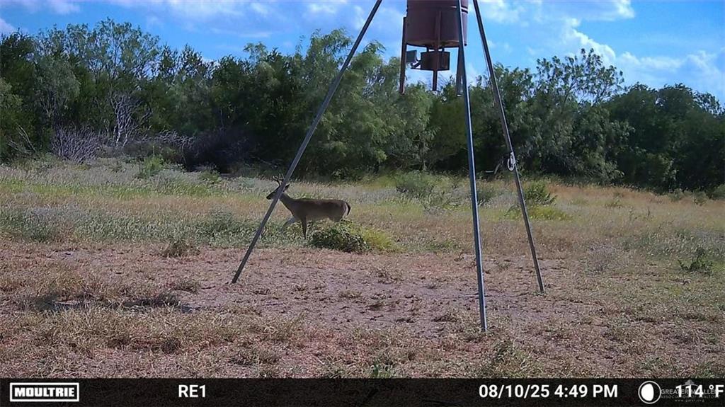 0 Los Lobos Road Roma, TX 78584 - Photo 25 of 28 a view of a park