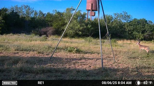 0 Los Lobos Road Roma, TX 78584 - Photo 28 of 28