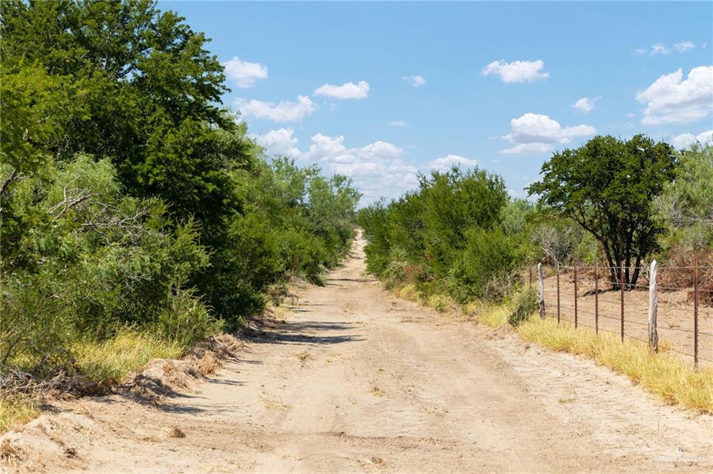 0 Los Lobos Road Roma, TX 78584 - Photo 5 of 28 a view of a backyard of the house
