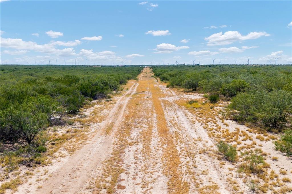 0 Los Lobos Road Roma, TX 78584 - Photo 7 of 28 a view of an outdoor space and a yard