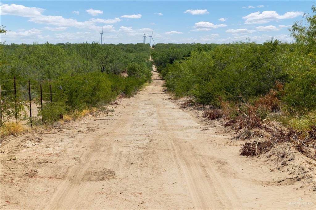 0 Los Lobos Road Roma, TX 78584 - Photo 8 of 28 a view of a yard