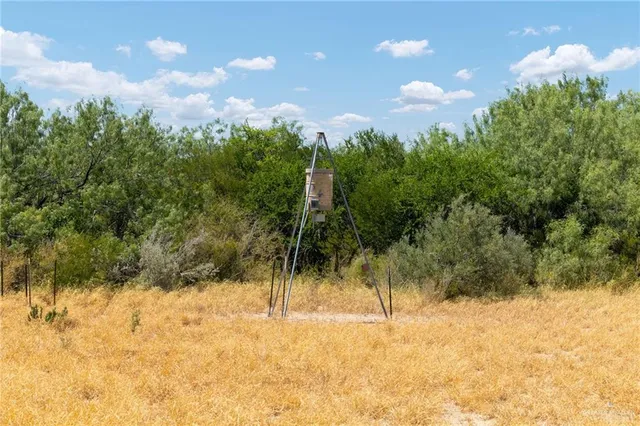 a view of outdoor space and tree