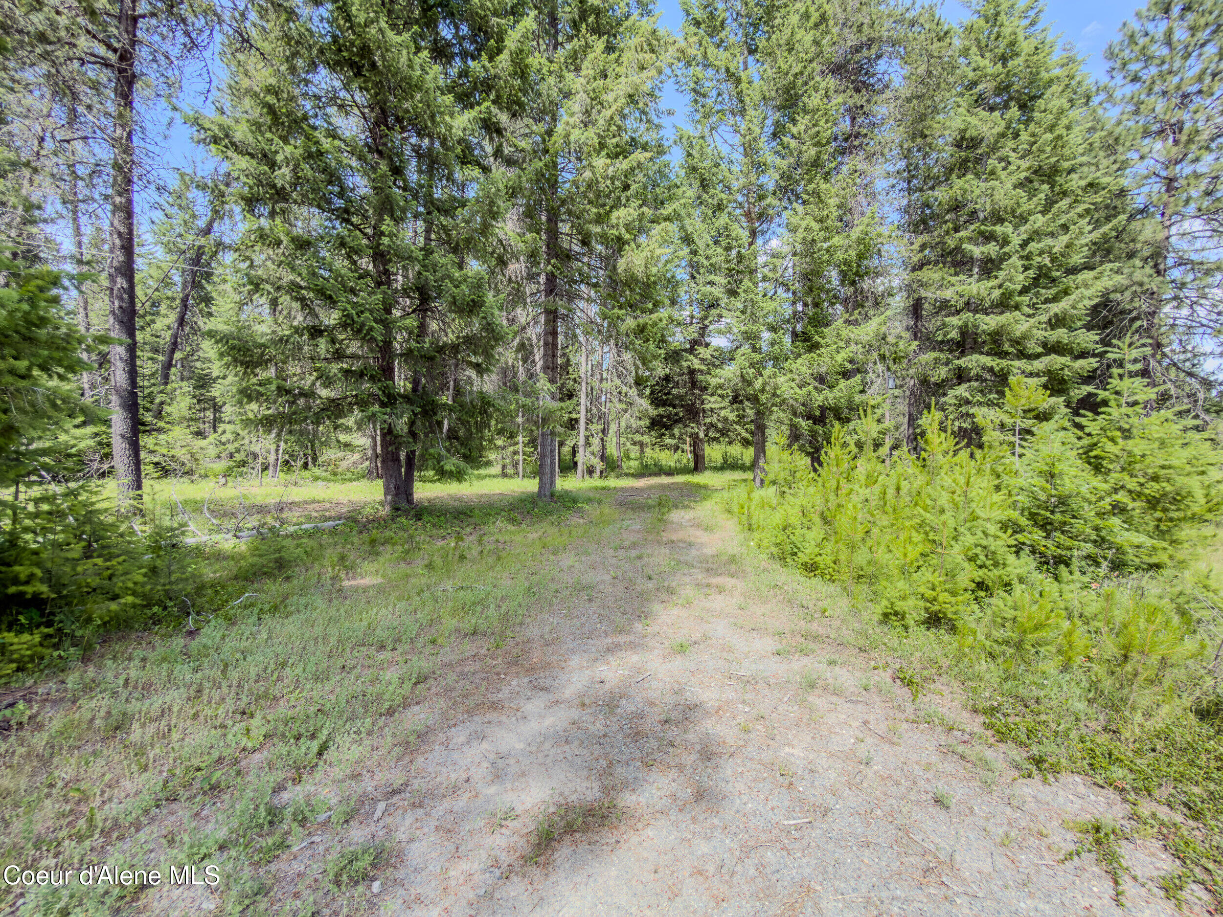 321 Winterton Road Sandpoint, ID 83864 - Photo 2 of 24 17_img_4802