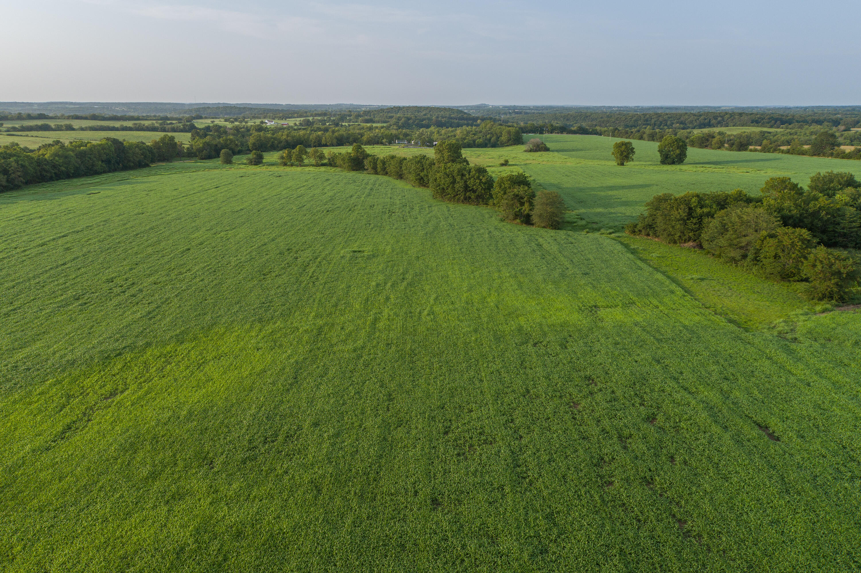 5291 South 127th Road Morrisville, MO 65710 - Photo 83 of 87 5291 S 127th Rd-108