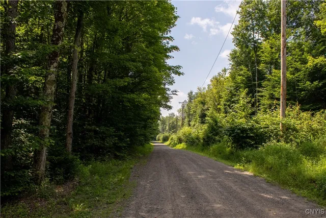 $699,000 | 10424 Riggerman Road, Russia, NY 13438