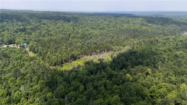 $699,000 | 10424 Riggerman Road, Russia, NY 13438