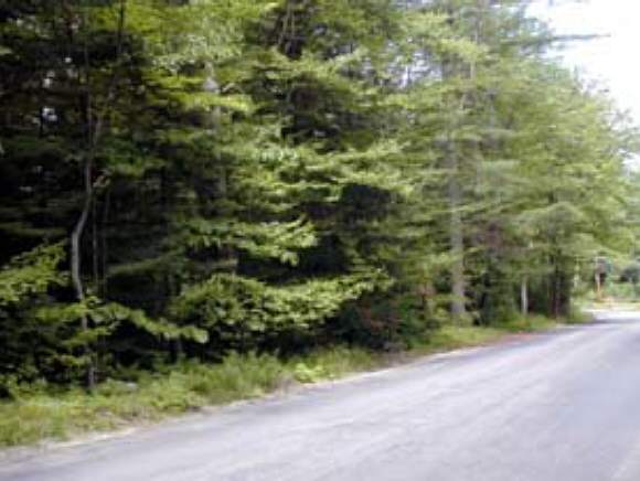 Lot 3 Parker Road Bethlehem, NH 03574 - Photo 1 of 2 Gallery Image 1