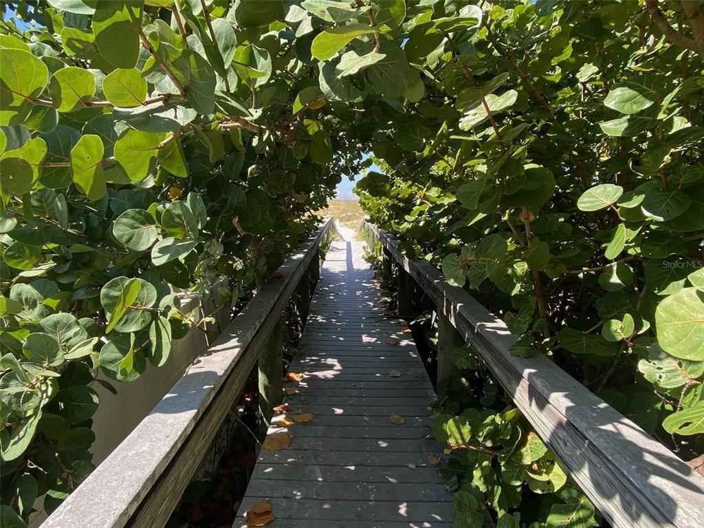 6700 Sunset Way, Unit 206 St. Pete Beach, FL 33706 - Photo 37 of 63