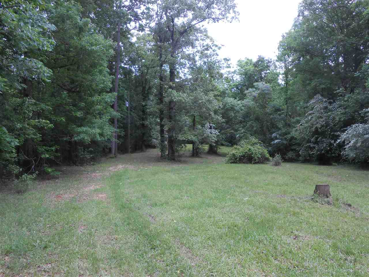 0 Boggan Ridge Road Mendenhall, MS 39114 - Photo 7 of 8 Photo 7