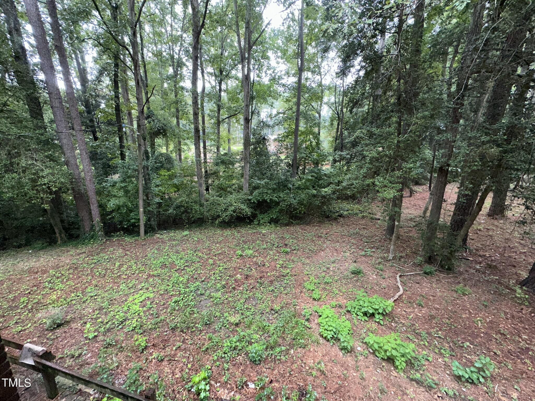 293 Nicholson Road Rockingham, NC 28379 - Photo 12 of 55 a backyard of a house with lots of green space