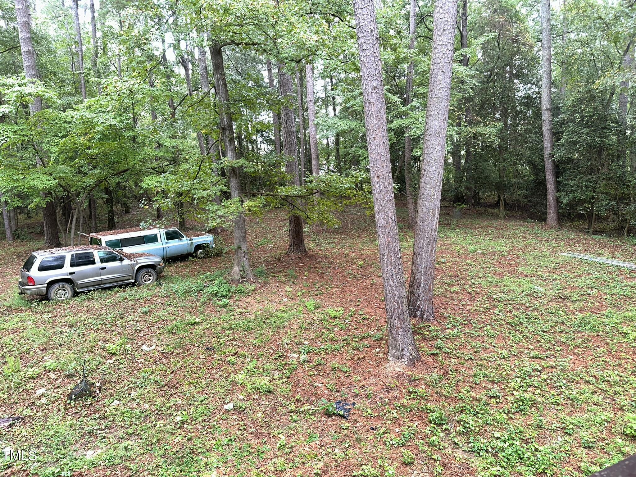293 Nicholson Road Rockingham, NC 28379 - Photo 16 of 55 a view of a backyard with a car parked