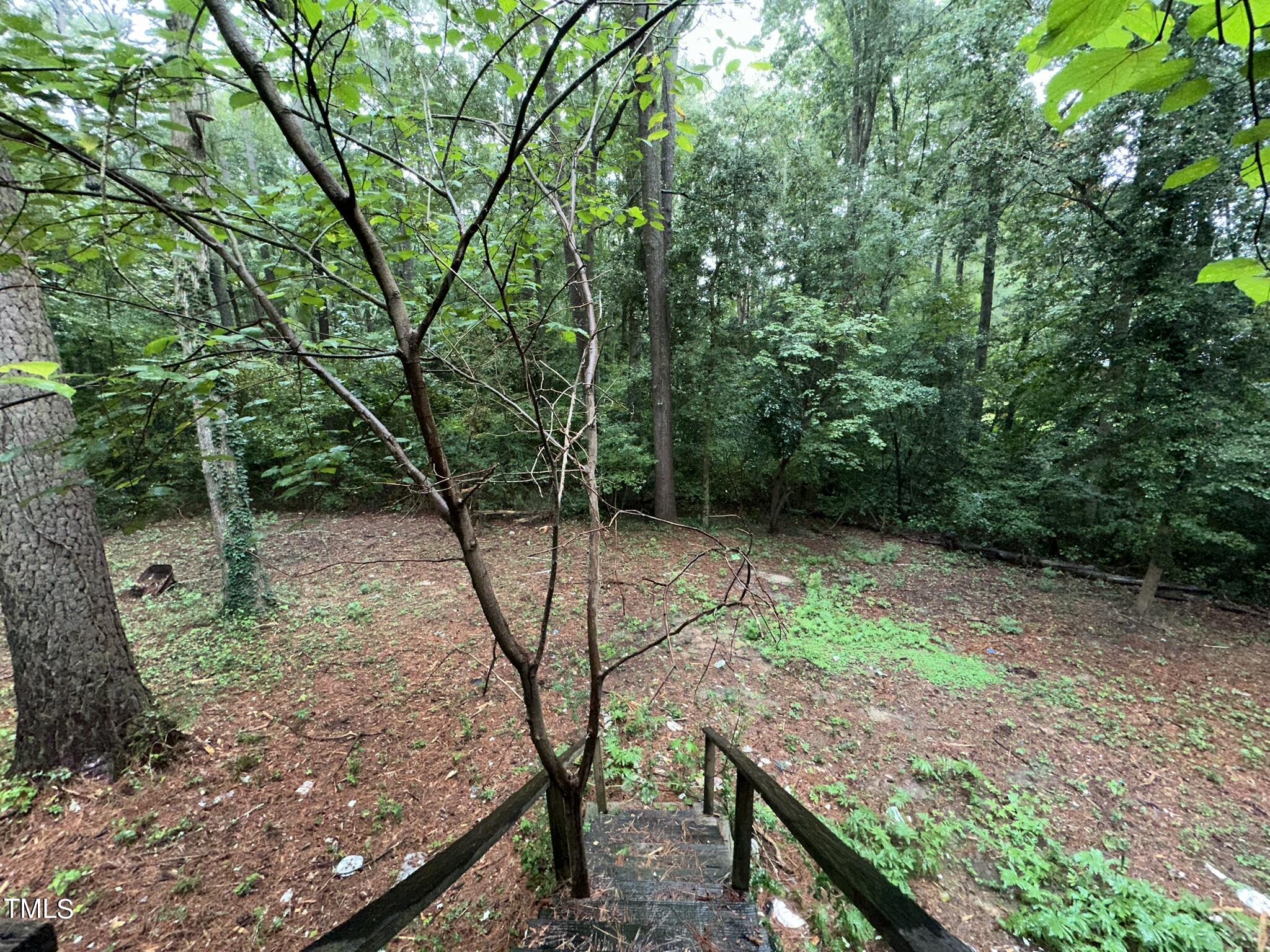 293 Nicholson Road Rockingham, NC 28379 - Photo 37 of 55 a view of backyard with green space