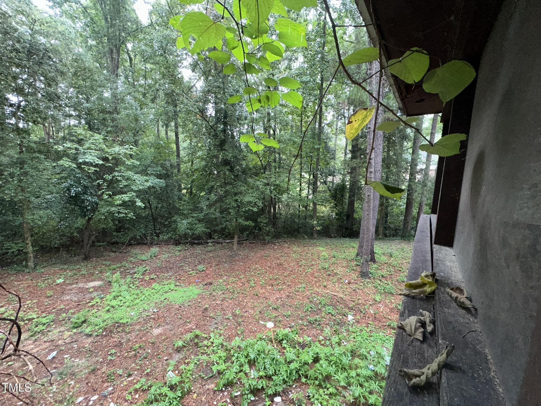 293 Nicholson Road Rockingham, NC 28379 - Photo 38 of 55 a backyard of a house with lots of green space
