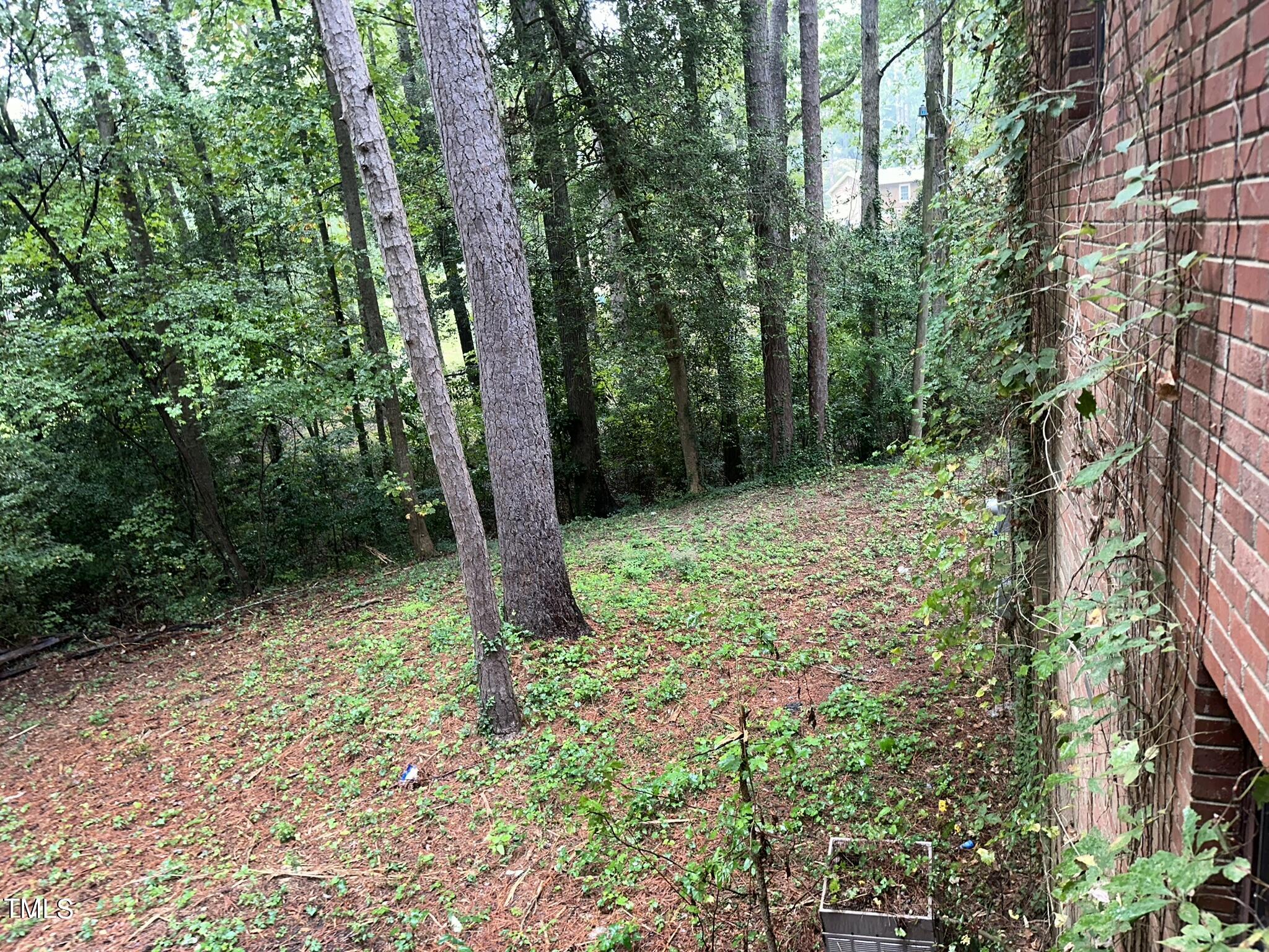 293 Nicholson Road Rockingham, NC 28379 - Photo 40 of 55 a view of a forest with trees
