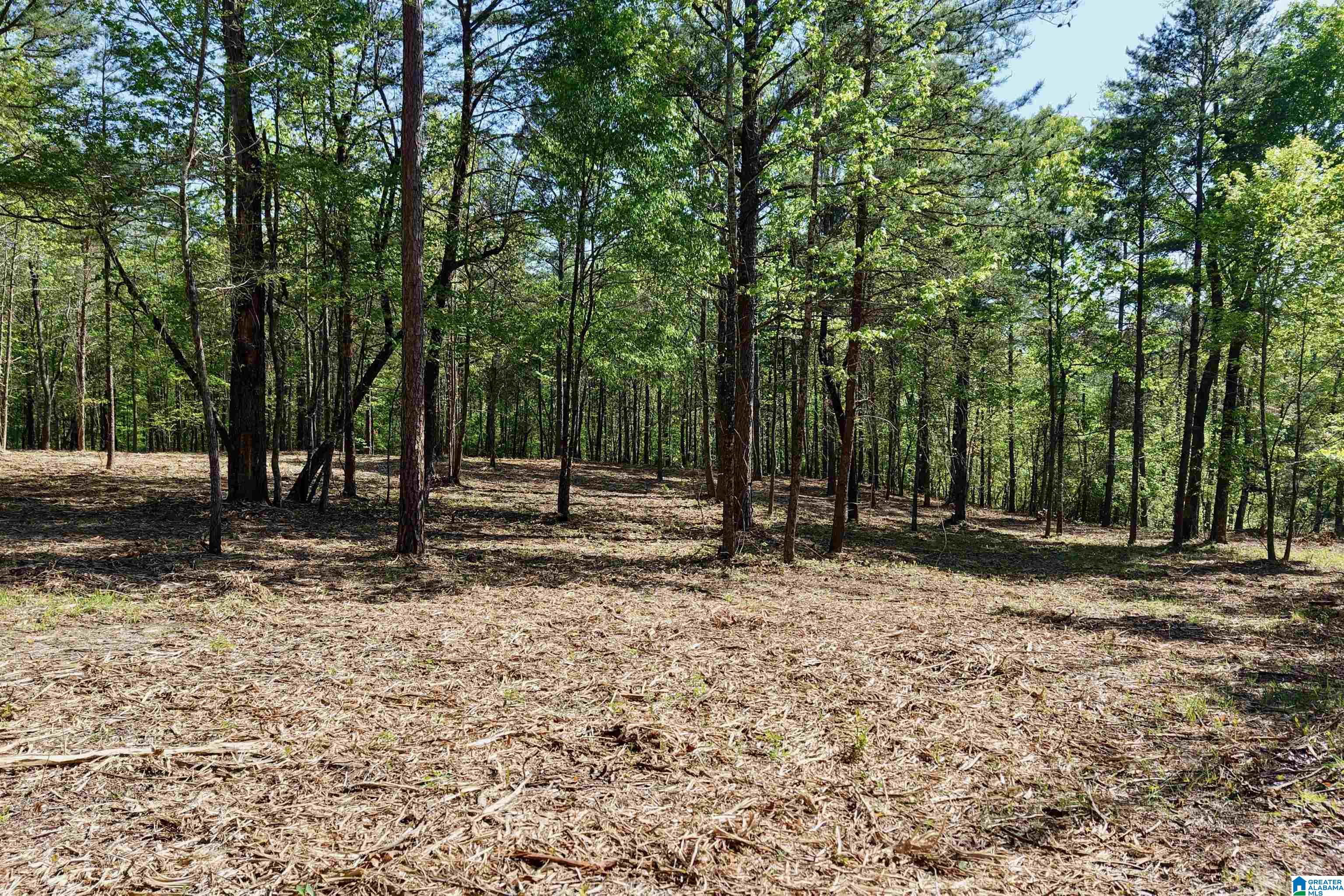 246 Spring Water Farms, Unit 2 Helena, AL 35022 - Photo 10 of 25