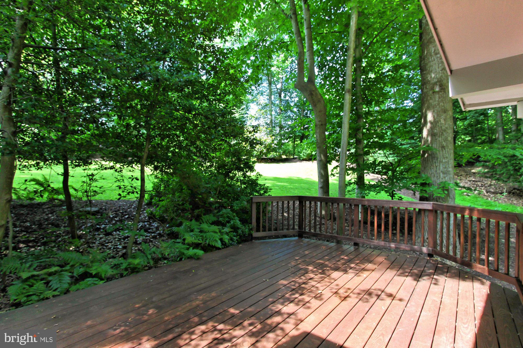 12904 Yates Ford Road Clifton, VA 20124 - Photo 30 of 37 Gorgeous setting