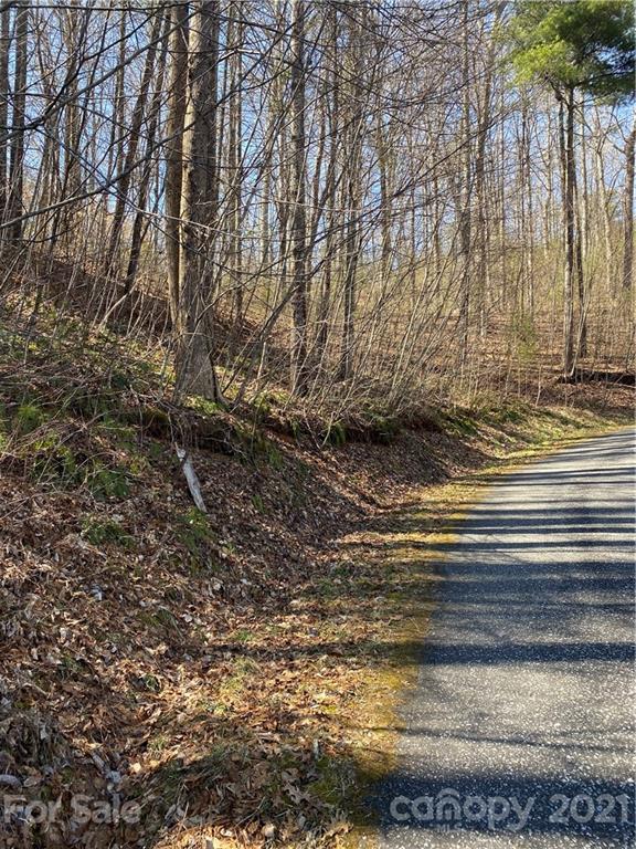 Lot 7 Riverside Hills Road, Unit 7 Burnsville, NC 28714 - Photo 4 of 6 Gallery Image 4